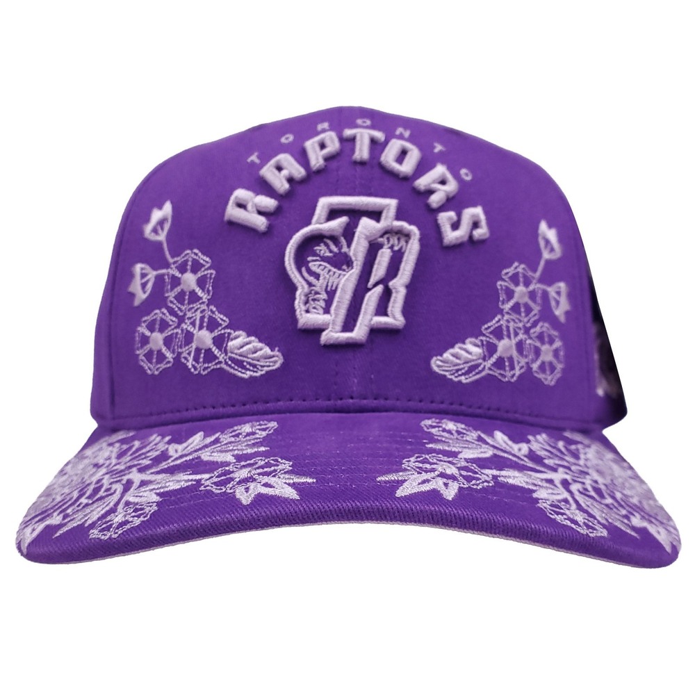 Toronto Raptors Mitchell & Ness NBA Snapback Hat‎ 3D Logo Morning Haze Art NWT